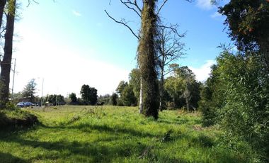 Sitios Aromos de Torobayo a 6.km Valdivia, desde 3.900 UF