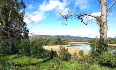 Sitios Aromos de Torobayo a 6.km Valdivia, desde 3.900 UF