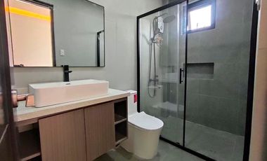 Modern 2Storey Single Detached with Swimming Pool House and Lot in BF Homes Paranaque