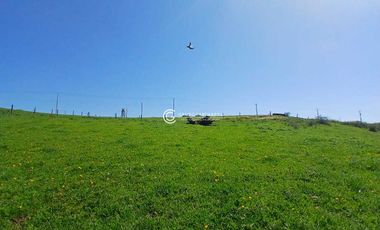 PARCELA DE 7070 M2 CONDOMINIO ROBLES DE PILAUCO