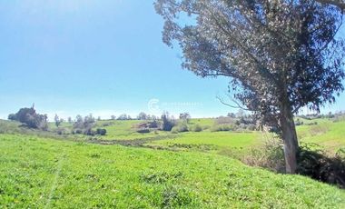 PARCELA DE 7070 M2 CONDOMINIO ROBLES DE PILAUCO