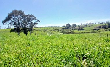 PARCELA DE 7070 M2 CONDOMINIO ROBLES DE PILAUCO