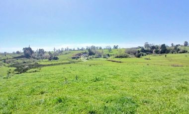 PARCELA DE 7070 M2 CONDOMINIO ROBLES DE PILAUCO