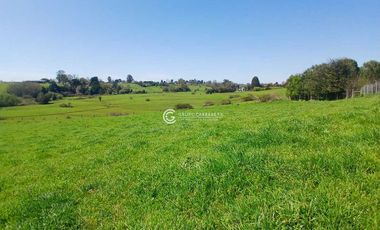 PARCELA DE 7070 M2 CONDOMINIO ROBLES DE PILAUCO