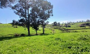 PARCELA DE 7070 M2 CONDOMINIO ROBLES DE PILAUCO