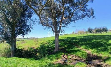 PARCELA DE 7070 M2 CONDOMINIO ROBLES DE PILAUCO