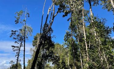 ¡¡OPORTUNIDAD!!, Vende Parcelas Colonia Río Sur, Puerto Montt