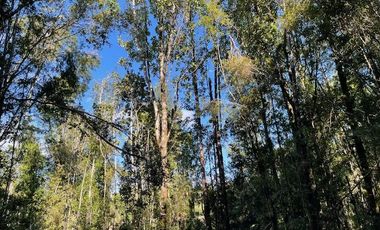 ¡¡OPORTUNIDAD!!, Vende Parcelas Colonia Río Sur, Puerto Montt