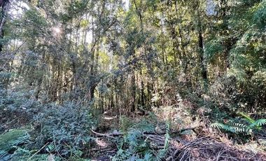 ¡¡OPORTUNIDAD!!, Vende Parcelas Colonia Río Sur, Puerto Montt