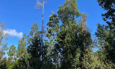 ¡¡OPORTUNIDAD!!, Vende Parcelas Colonia Río Sur, Puerto Montt