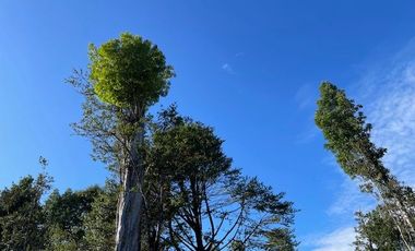 ¡¡OPORTUNIDAD!!, Vende Parcelas Colonia Río Sur, Puerto Montt