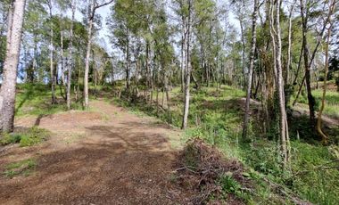 Parcela Urbanizada Sector Cayumapu