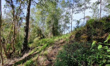 Parcela Urbanizada Sector Cayumapu