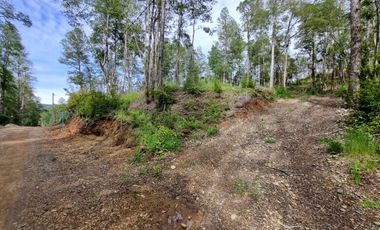 Parcela Urbanizada Sector Cayumapu