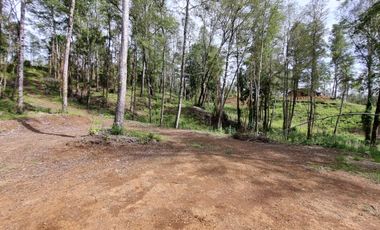 Parcela Urbanizada Sector Cayumapu