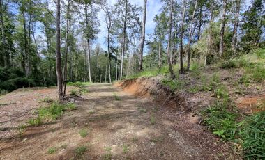 Parcela Urbanizada Sector Cayumapu