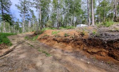 Parcela Urbanizada Sector Cayumapu