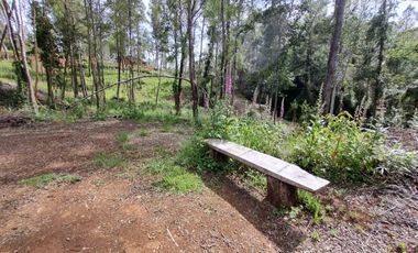 Parcela Urbanizada Sector Cayumapu