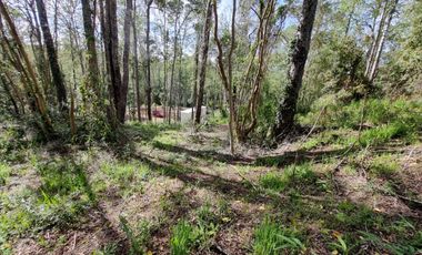 Parcela Urbanizada Sector Cayumapu