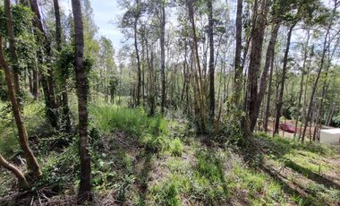 Parcela Urbanizada Sector Cayumapu