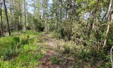 Parcela Urbanizada Sector Cayumapu