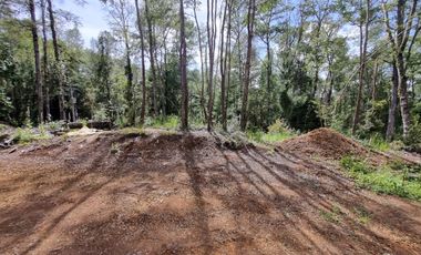 Parcela Urbanizada Sector Cayumapu