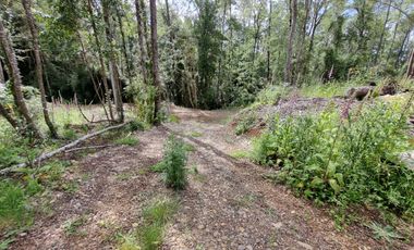 Parcela Urbanizada Sector Cayumapu