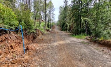 Parcela Urbanizada Sector Cayumapu