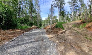 Parcela Urbanizada Sector Cayumapu