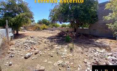 Renta Terreno cerca de Malecon 600 m2
