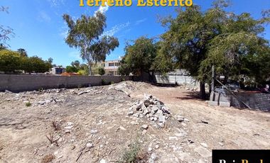 Renta Terreno cerca de Malecon 600 m2