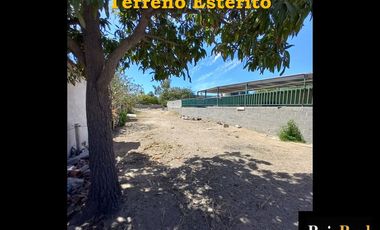 Renta Terreno cerca de Malecon 600 m2