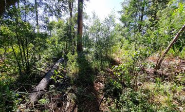 Exclusiva Parcela Condominio Santo Domingo