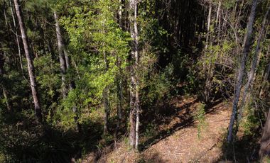 Exclusiva Parcela Condominio Santo Domingo