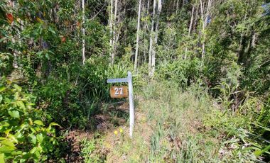 Exclusiva Parcela Condominio Santo Domingo