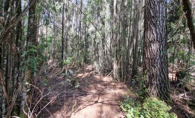 Exclusiva Parcela Condominio Santo Domingo