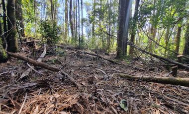 Exclusiva Parcela Condominio Santo Domingo