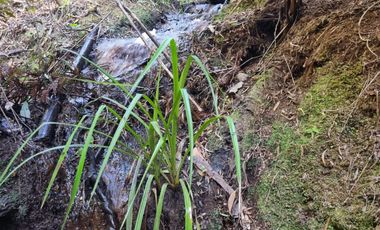 Exclusiva Parcela Condominio Santo Domingo