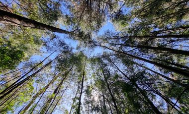 Exclusiva Parcela Condominio Santo Domingo