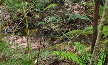 Exclusiva Parcela Condominio Santo Domingo