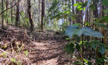 Exclusiva Parcela Condominio Santo Domingo