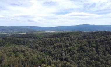 Parcela Sector El Arenal