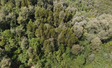 Parcela Sector El Arenal