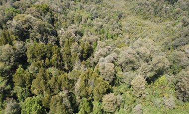 Parcela Sector El Arenal