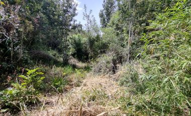 Parcela Sector El Arenal