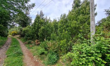 Parcela Sector El Arenal