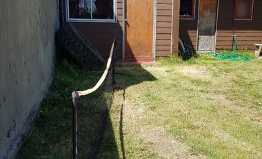 Amplio Terreno con Casa Calle Bueras