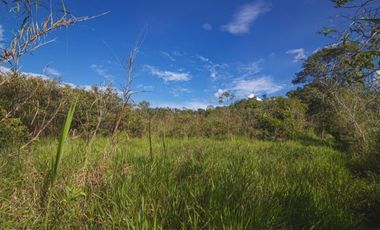Vendo Terreno De 9 Hectáreas Con 444M2 En El Mismo Moyobamba