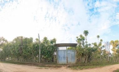 Vendo Terreno De 9 Hectáreas Con 444M2 En El Mismo Moyobamba