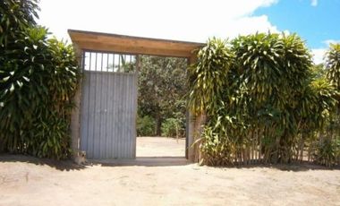 Vendo Terreno De 9 Hectáreas Con 444M2 En El Mismo Moyobamba